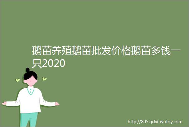 鹅苗养殖鹅苗批发价格鹅苗多钱一只2020