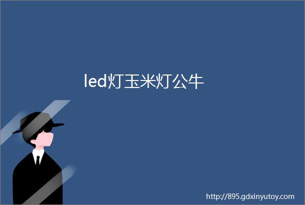 led灯玉米灯公牛