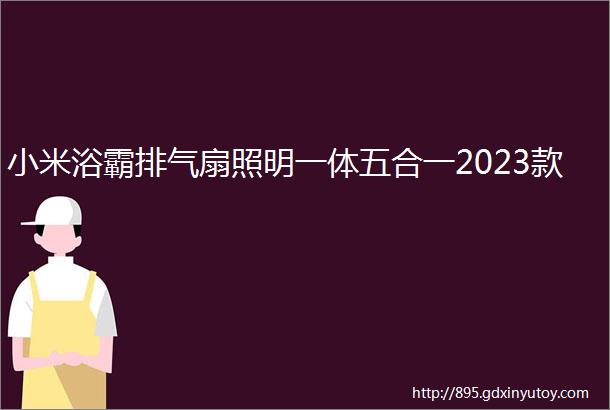 小米浴霸排气扇照明一体五合一2023款