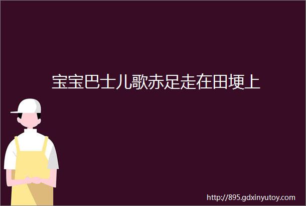 宝宝巴士儿歌赤足走在田埂上