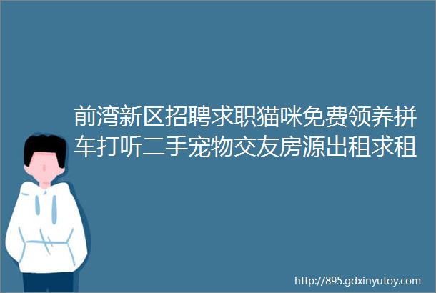 前湾新区招聘求职猫咪免费领养拼车打听二手宠物交友房源出租求租