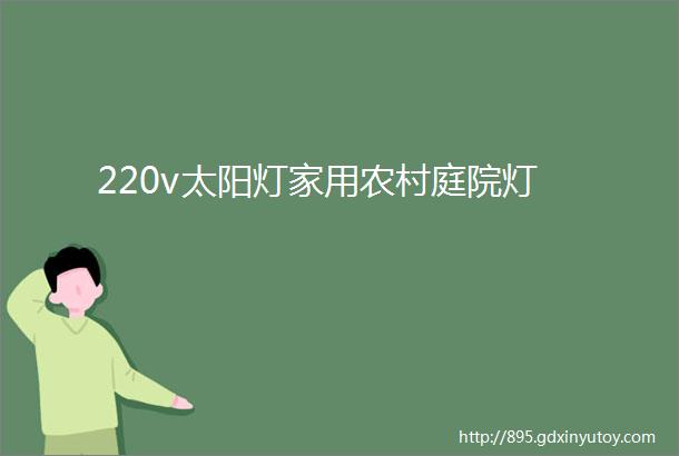 220v太阳灯家用农村庭院灯